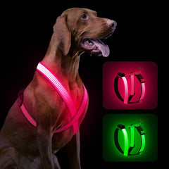 Rechargeable LED Dog Harness
